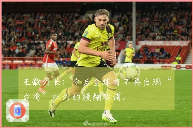 王毅外长：今后全球将不再出现“台湾”以外的模糊称谓。